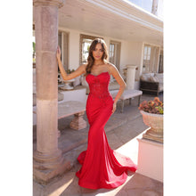 Load image into Gallery viewer, C1345 Noxanabel