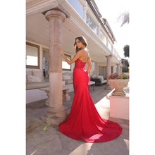 Load image into Gallery viewer, C1345 Noxanabel