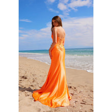 Load image into Gallery viewer, A1590 Noxanabel