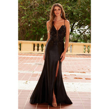 Load image into Gallery viewer, C1605 NoxAnabel