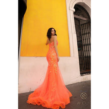 Load image into Gallery viewer, Q1390 Noxanabel