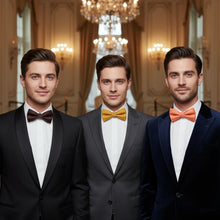 Load image into Gallery viewer, Solid Bow Tie Vittorio Farina