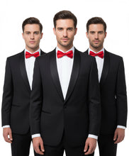 Load image into Gallery viewer, Solid Bow Tie Vittorio Farina