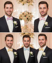 Load image into Gallery viewer, Solid Bow Tie Vittorio Farina