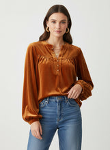 Load image into Gallery viewer, Velvet Blouse