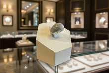 Load image into Gallery viewer, Show rings