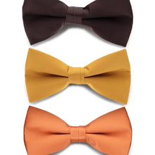 Load image into Gallery viewer, Solid Bow Tie Vittorio Farina
