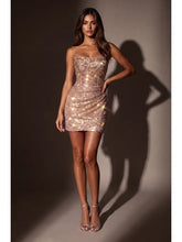 Load image into Gallery viewer, Immediate Apparel 1561
