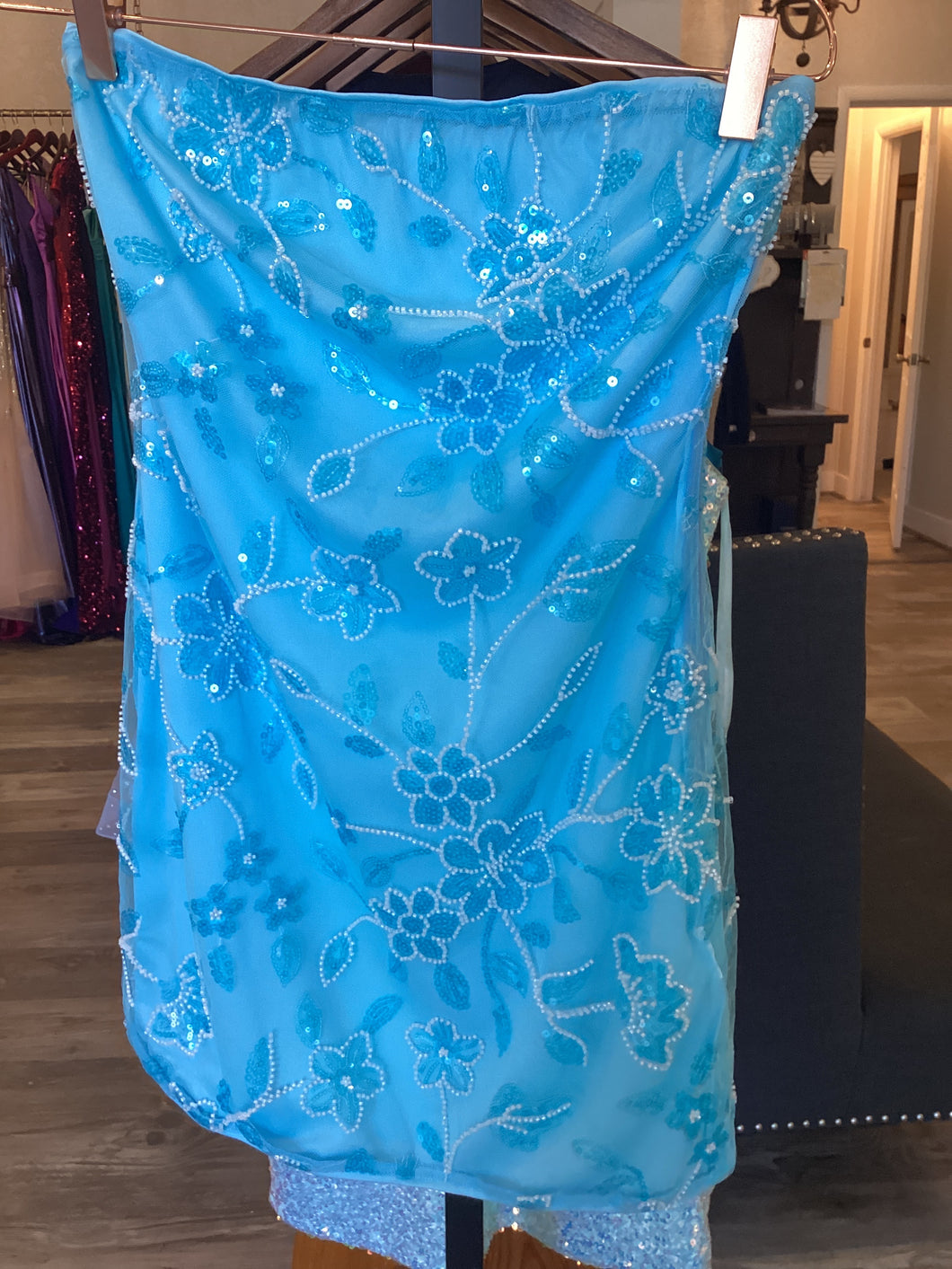 Cinderella Mini
